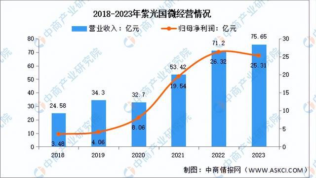 JDB电子2024年中国芯片设计行业市场前景预测研究报告（简版）(图8)